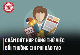 Chấm Dứt Hợp Đồng Thử Việc