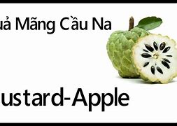 Là Gọi Tiếng Anh Là Gì