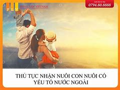 Thủ Tục Nhận Nuôi Con Nuôi Có Yếu Tố Nước Ngoài Tại Việt Nam